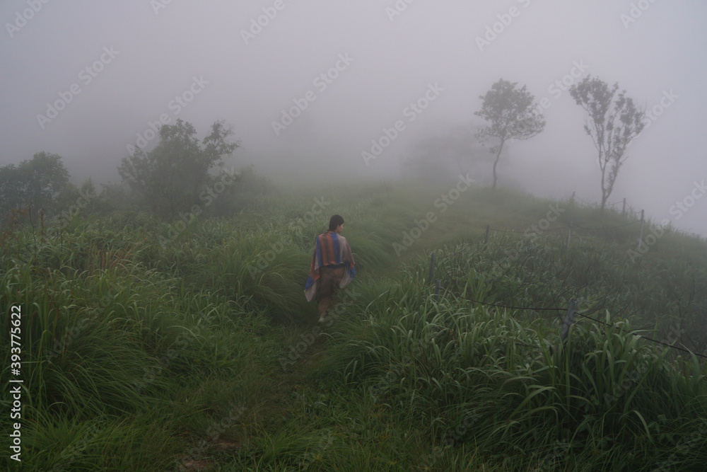 dense morning fog on a green field overgrown with tall grass, a girl walks along a path and walks into the unknown   