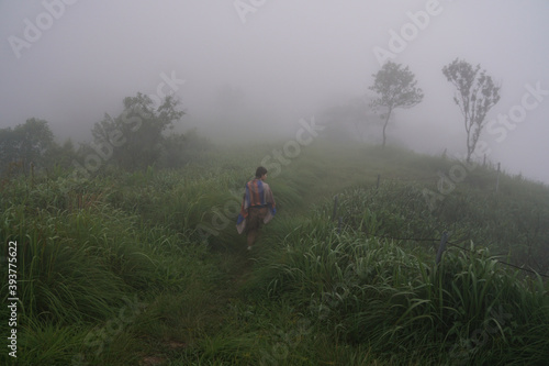 dense morning fog on a green field overgrown with tall grass, a girl walks along a path and walks into the unknown 