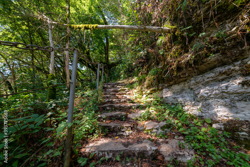 Stone and wooden stairs in mysterious forest. Hiking trail for hiking tours