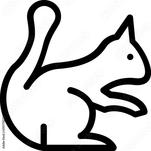 
Squirrel Vector Icon
