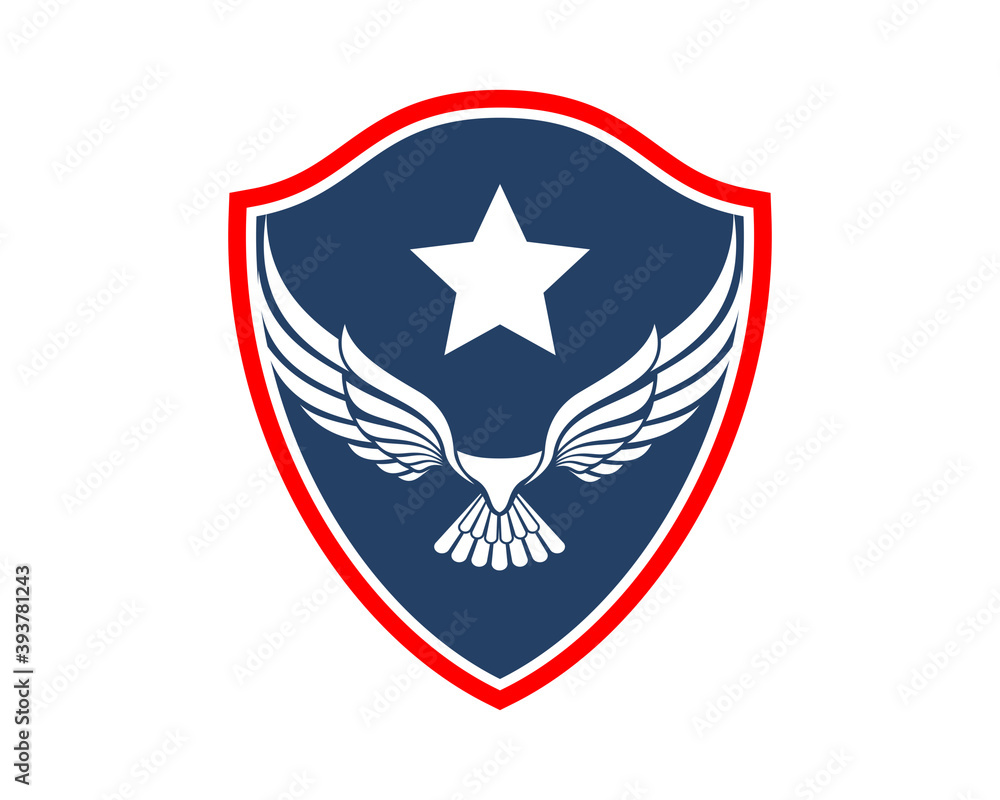 Abstract flying eagle and star inside the shield Abstract flying eagle and star inside the shield