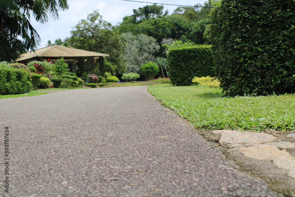 Obraz premium path in the park