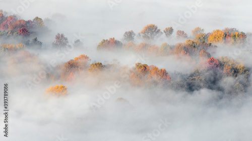 Wonderful autumn sunrise in the foggy forest