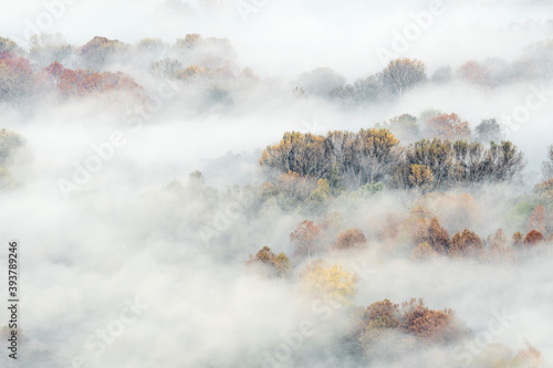 Misty morning in the mountains