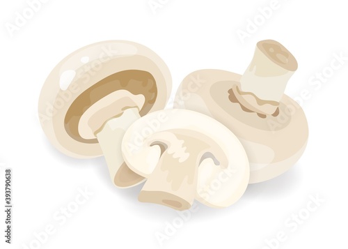 Composition of whole and sliced champignon isolated on white background. Edible raw mushrooms, natural cooking ingredient. Flat vector cartoon illustration of agaricus bisporus