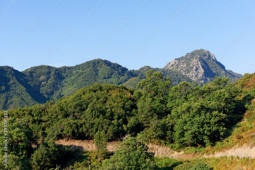 Castagniccia mountain in the Corsica Regional Nature Park     