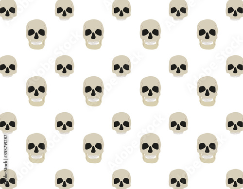 pattern background, various human skull