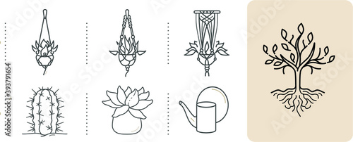 Set of outline silhouettes of home plants, planters, cacti, hanging macrame potted plants and watering can. Tree and root fine hand-drawn vector monochrome  illustration  photo