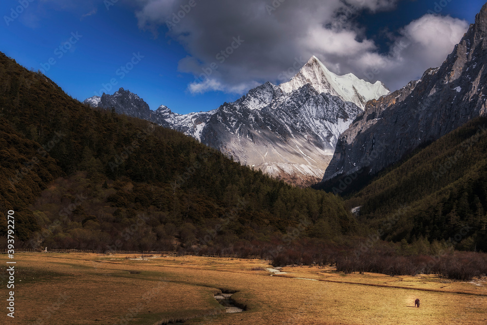 Fototapeta premium 中国川西甘孜稻城亚丁