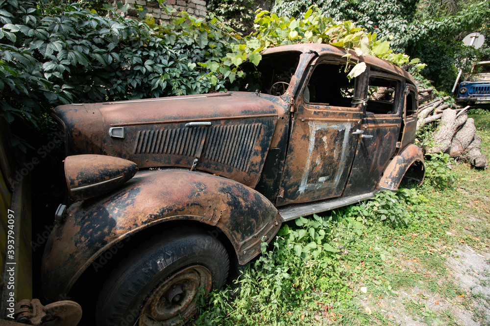 abandoned cars in the middle of the forest