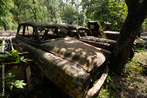 abandoned cars in the middle of the forest