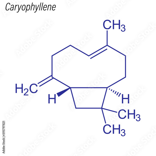 Vector Skeletal formula of Caryophyllene. Drug chemical molecule.