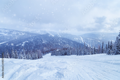 Ski slopes and snowfall, fir trees in fluffy snow, sky in clouds, winter landscape, cold weather. Nature View