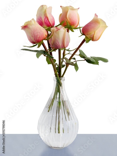 posy of pretty pink and orange roses isolated close up photo