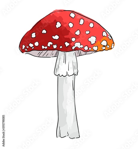Hand drawn amanita mushroom isolated on white background vector illustration.
