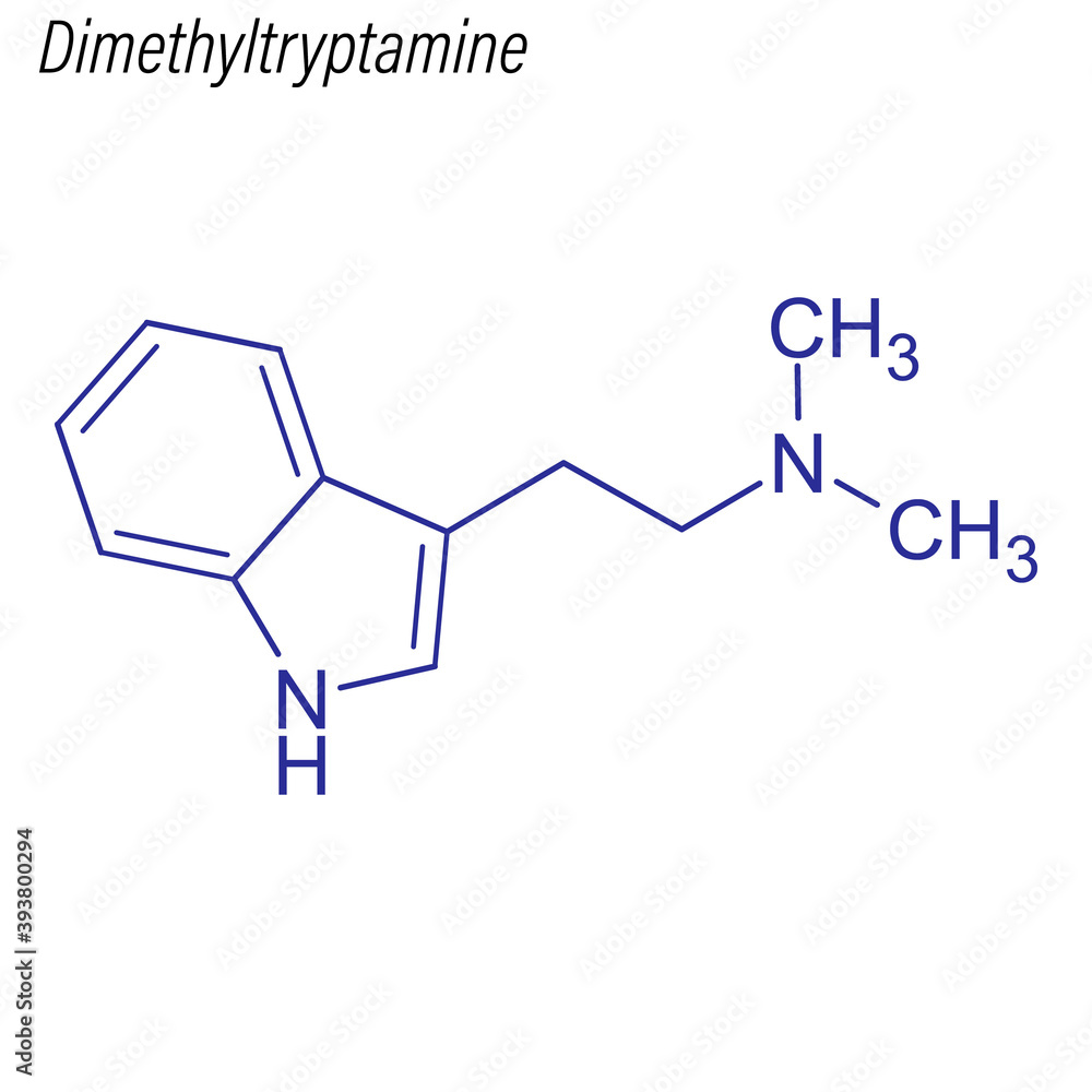 Vector Skeletal formula of Dimethyltryptamine. Drug chemical molecule. Vector Skeletal formula of Dimethyltryptamine. Drug chemical molecule.