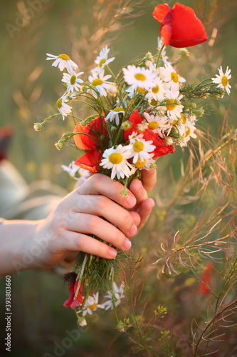 Women's hands hold a bouquet of poppies and daisies
