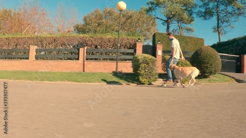 Labrador retriever breed dog runs behind his owner who is skating through the urbanization on a sunny morning