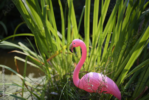 pink plastic flamingo in small lake