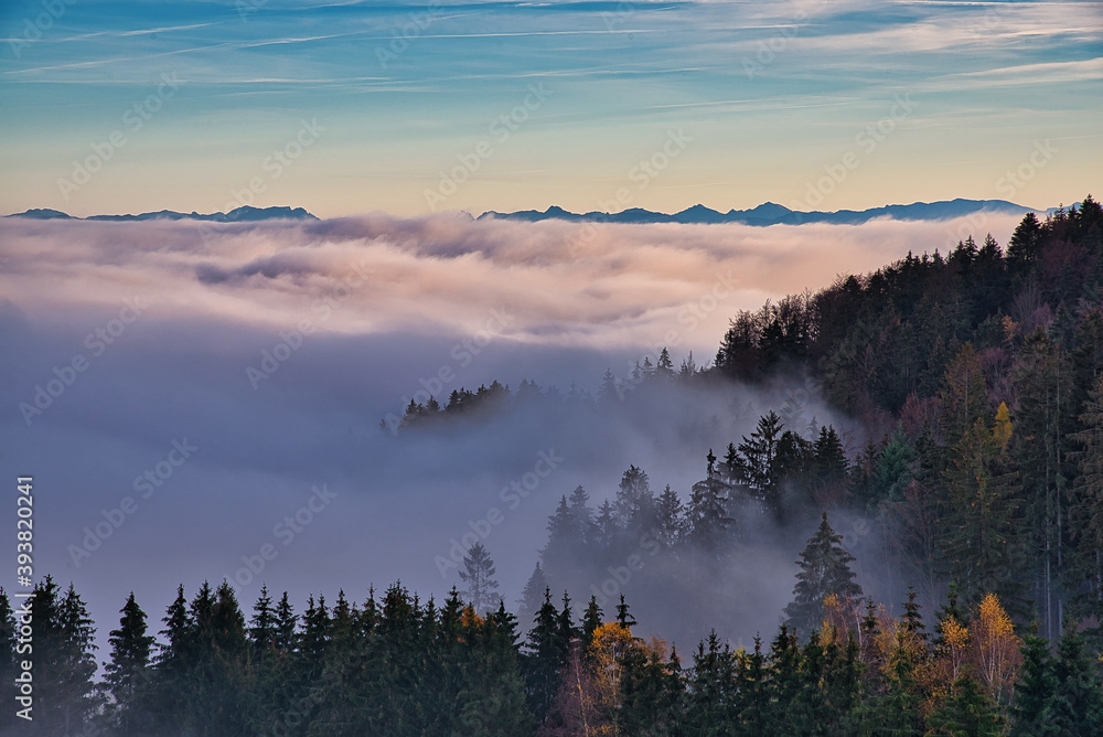 Landschaftsaufnahme eines nebeligen Waldes unter blauem Himmel mit einem Alpenkamm am Horizont 