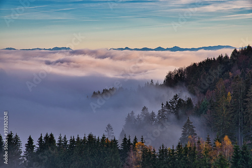 Landschaftsaufnahme eines nebeligen Waldes unter blauem Himmel mit einem Alpenkamm am Horizont 