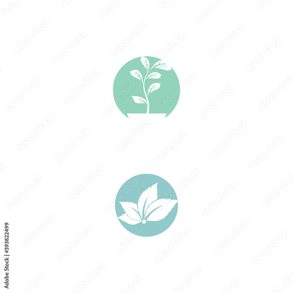 Obraz premium Leaf Mint Logo Template vector symbol