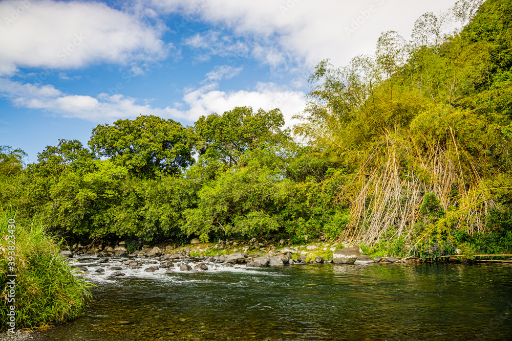 Rivière des Marsouins, a river on the Indian Ocean Island of Réunion Rivière des Marsouins, a river on the Indian Ocean Island of Réunion