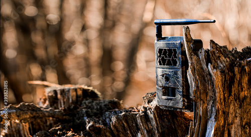 Photography Camera trap or photo cameras mounted on tree stump  for wild animals location monitoring