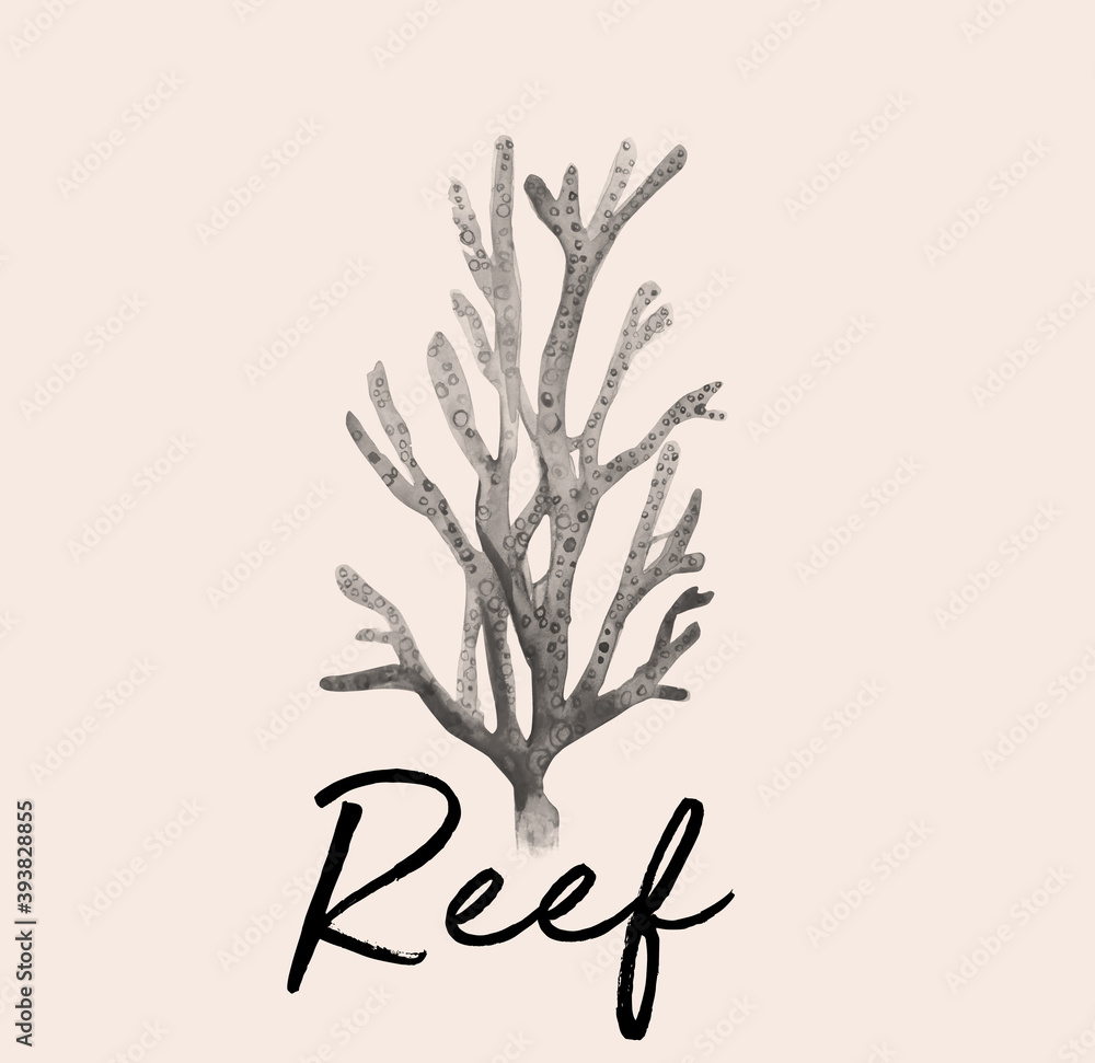 Aquarelle Hand drawn of coral reef
illustration.
