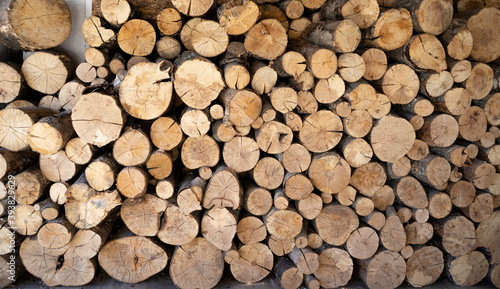 wood logs background clouse up