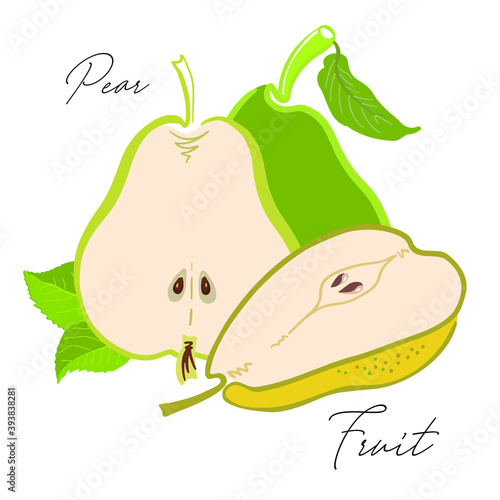 Fruit pear simplified for logo, design, backgrounds, patterns. Vector illustration, handmade, full color.