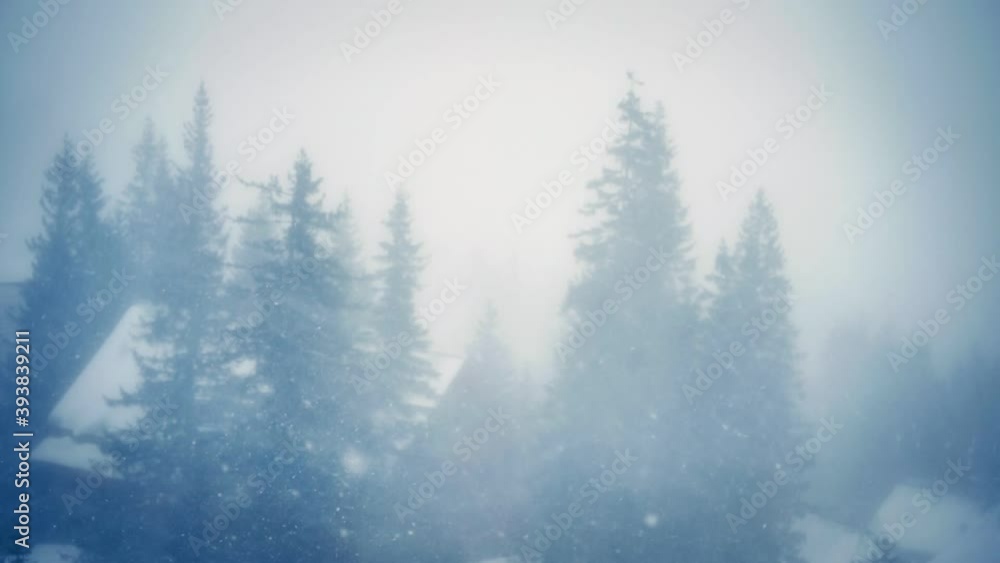 Winter snow tree branch forest weather christmas forest Winter snow tree branch forest weather christmas forest