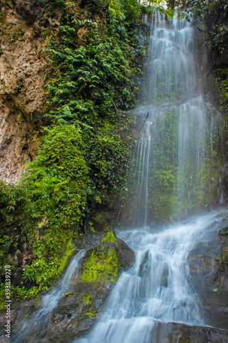 Fototapeta Naklejka Na Ścianę i Meble -  Little green forest waterfall near the Batu Cave Mountains in Kuala Lumpur, capital of Malaysia