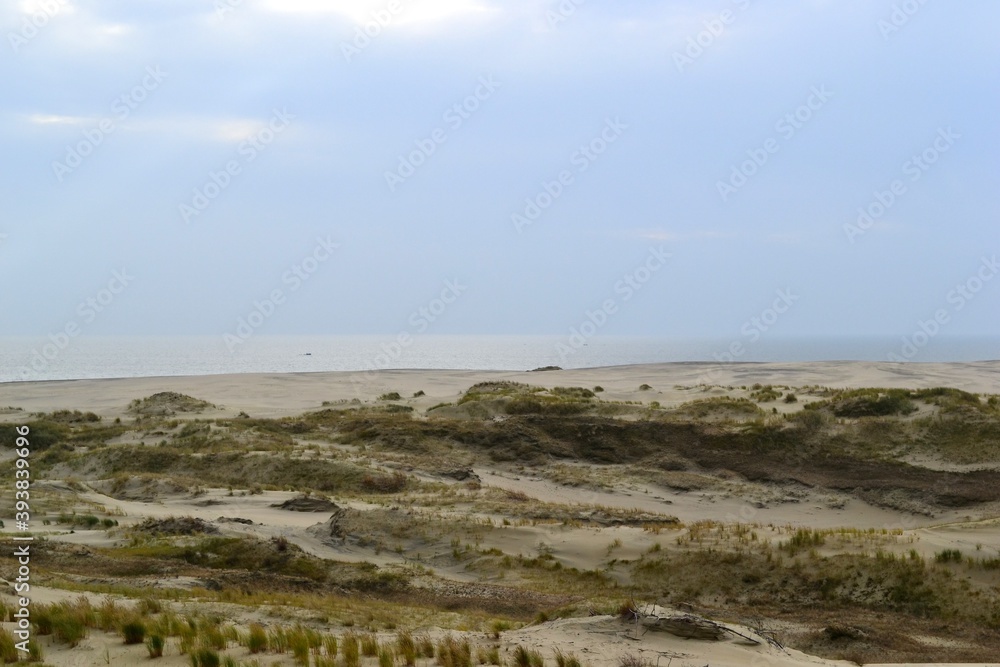 Sand dune on the Baltic sea coast