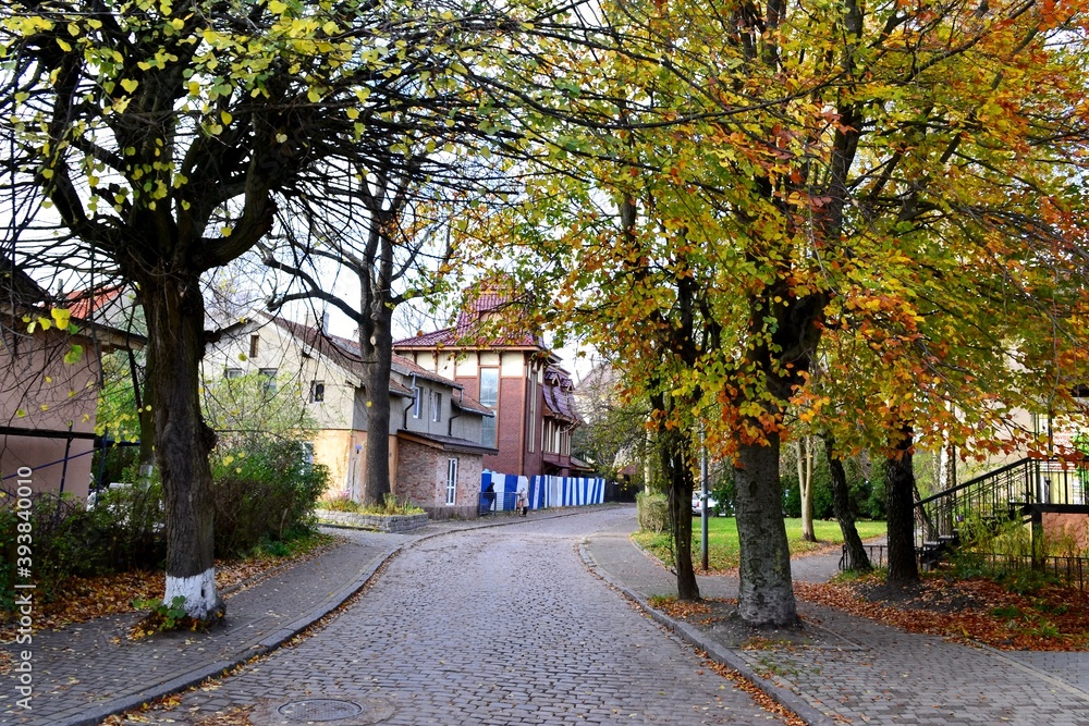 Fototapeta premium street in autumn