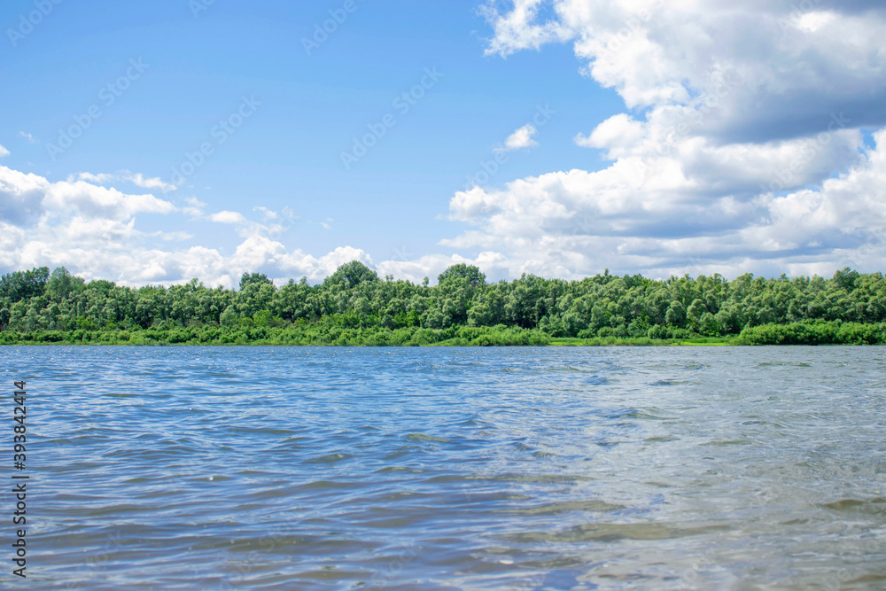 River in the foreground, in the distance you can see the river Bank with green trees and bushes River in the foreground, in the distance you can see the river Bank with green trees and bushes