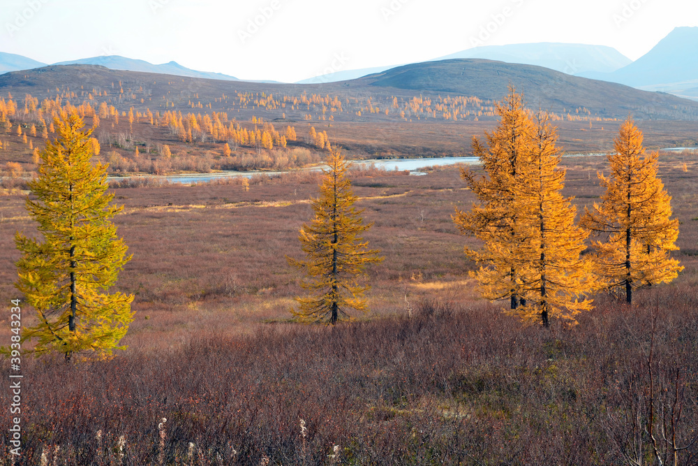Mountainous tundra landscape. View at Bolshaya Paypudyna river valley. Polar Ural, Yamalo-Nenets Autonomous Okrug (Yamal), Russia.