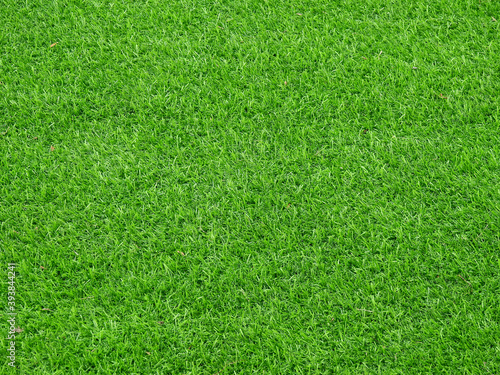green artificial grass texture, lawn background