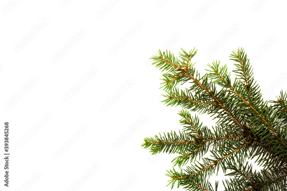 Pine branches isolated on white background, seamless pattern. Christmas and New Year background. Pine branches isolated on white background, seamless pattern. Christmas and New Year background.