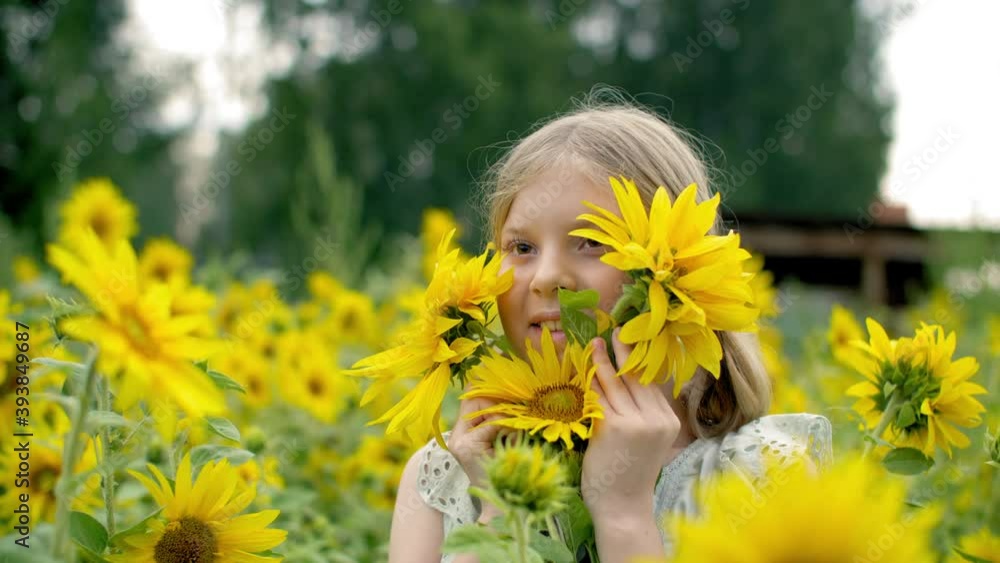 Close up romantic young woman face with yellow sunflowers outdoor. Portrait beautiful woman with sunflowers near face posing on rural meadow Close up romantic young woman face with yellow sunflowers outdoor. Portrait beautiful woman with sunflowers near face posing on rural meadow