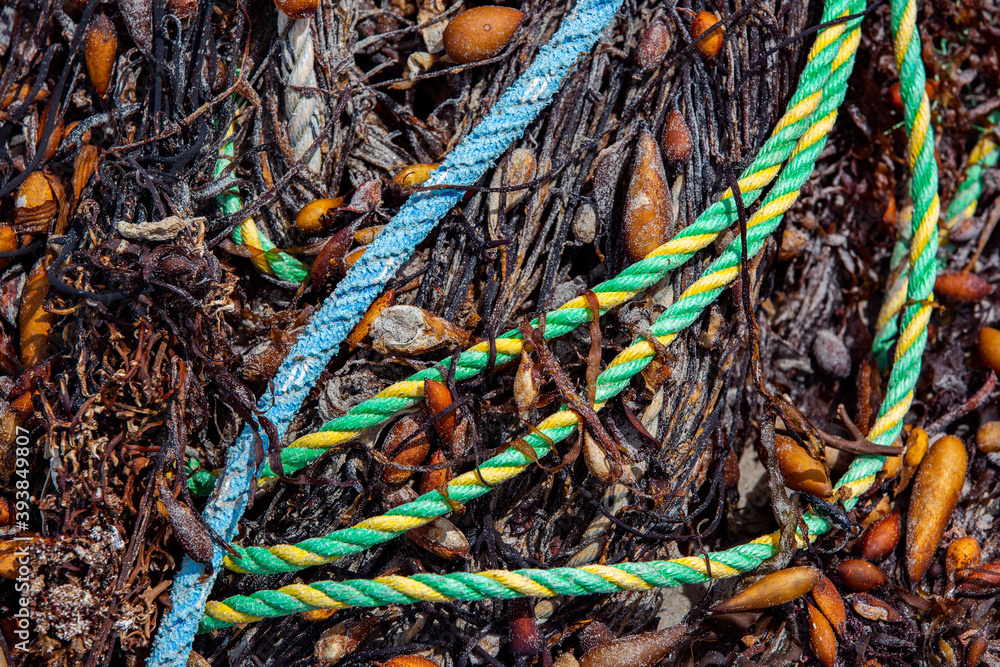 An abstract photo of rope and seaweed washed on the beach
