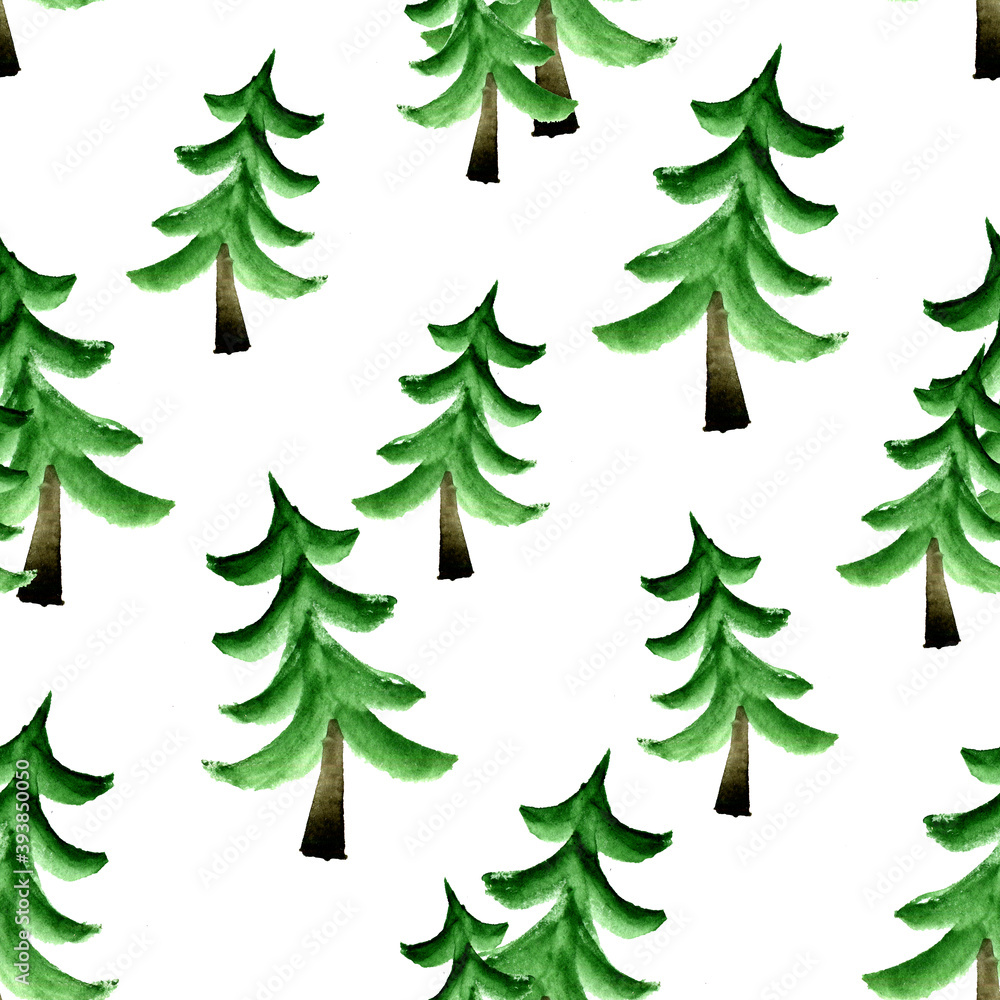 Fir trees on white background