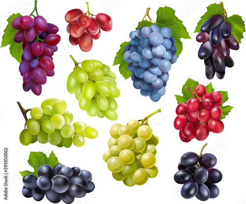 Realistic grapes set collection