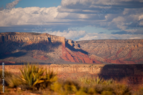 USA Mojave desert and Grand Canyon
