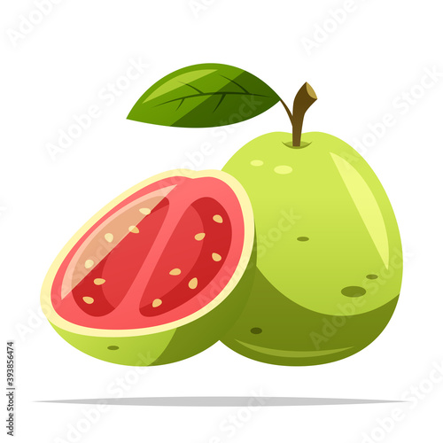 Guava fruit vector isolated illustration