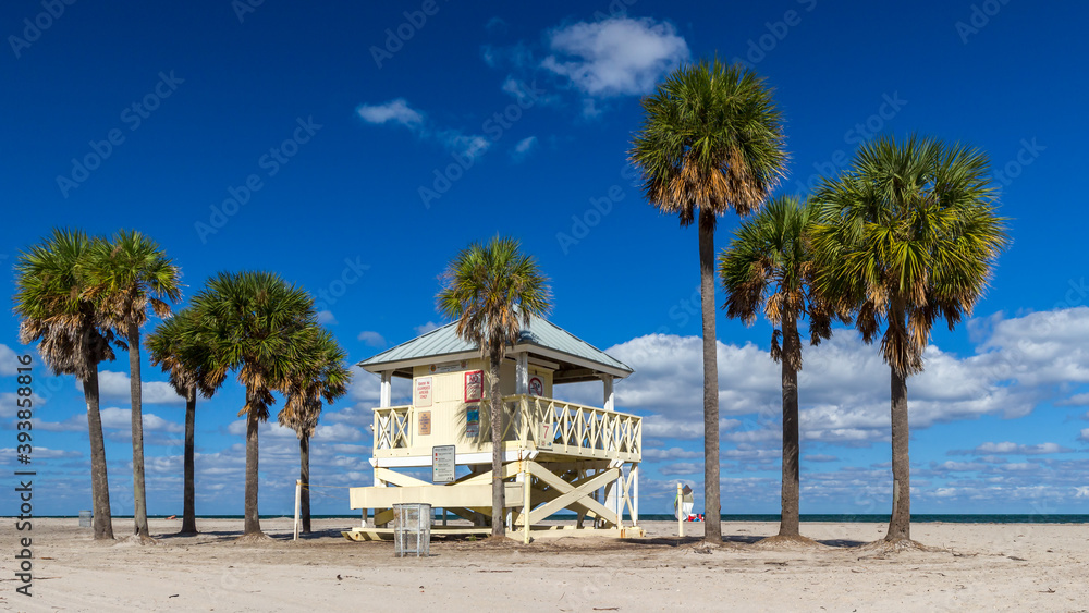 beach with palm trees in Key Biscayne in Florida