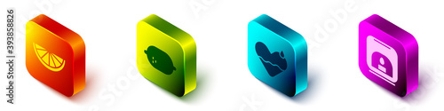 Set Isometric Citrus fruit, Lemon, Heart heal and Aroma lamp icon. Vector.