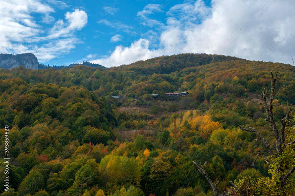 Fototapeta premium Autumn nature landscapes. ( wooden village houses ) Sinop, Turkey.