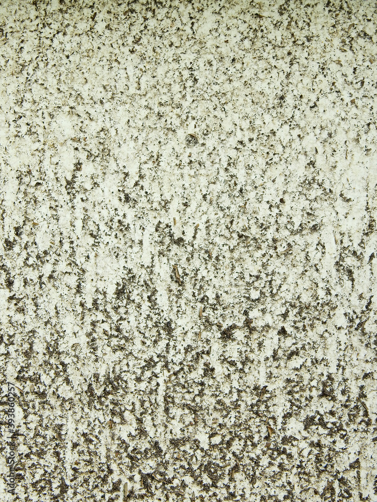 stain of soil on white wall stain of soil on white wall