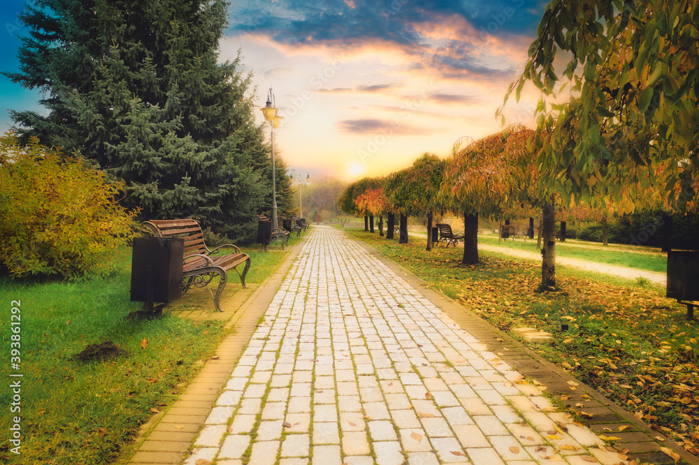 Obraz premium The concept of walking along an empty sidewalk alley made of tiles in a quiet autumn park. Alley with pavement, benches and yellow foliage on the trees in the autumn morning in an empty park.